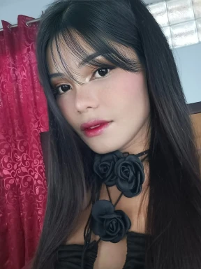 Thai ladyboys for dating / Ladyboys from Philippines for dating