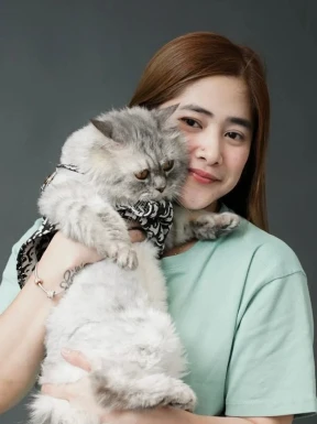 Thai ladyboys for dating / Ladyboys from Philippines for dating