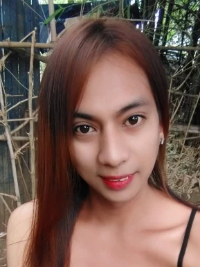 Thai ladyboys for dating / Ladyboys from Philippines for dating