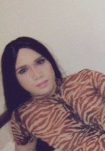Thai ladyboys for dating / Ladyboys from Philippines for dating