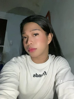 Thai ladyboys for dating / Ladyboys from Philippines for dating