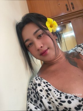 Thai ladyboys for dating / Ladyboys from Philippines for dating
