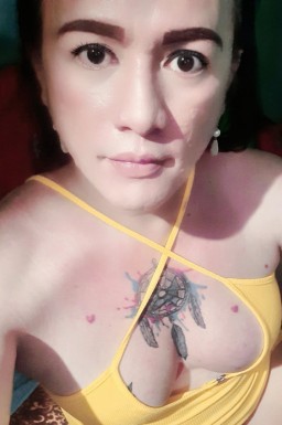 Thai ladyboys for dating / Ladyboys from Philippines for dating