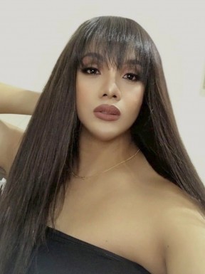 Thai ladyboys for dating / Ladyboys from Philippines for dating