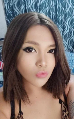 Thai ladyboys for dating / Ladyboys from Philippines for dating